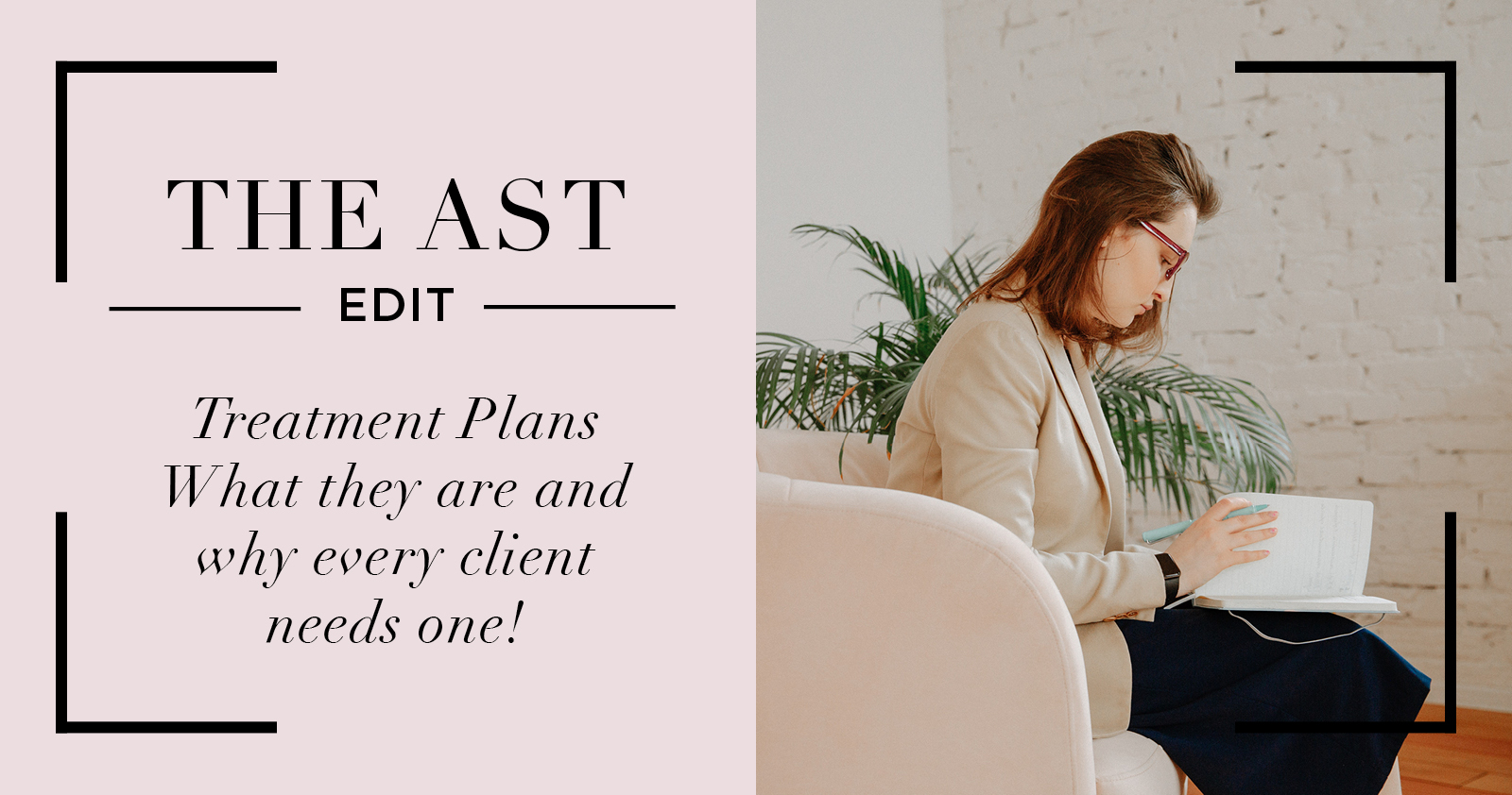 Treatment Plans - What they are and why every client needs one!